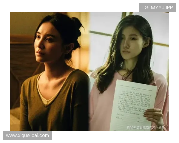 迷雾中的回响：当“幻影”照进现实的电视剧