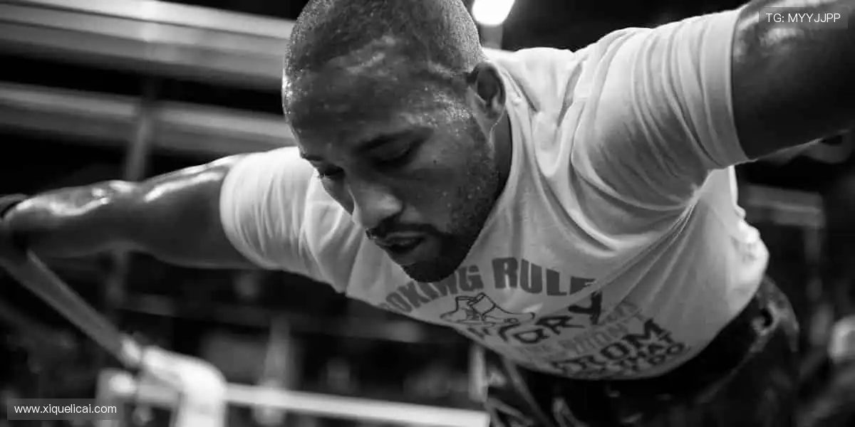 ⚾️从本土联赛到国际巅峰，我们承包你的所有热爱！🌍